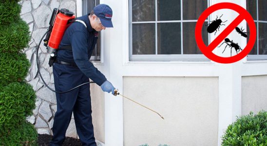 Muratlı Kemirgen İlaçlama böcek ilaçlama ve haşere kontrolü — ilaclama-tr.com